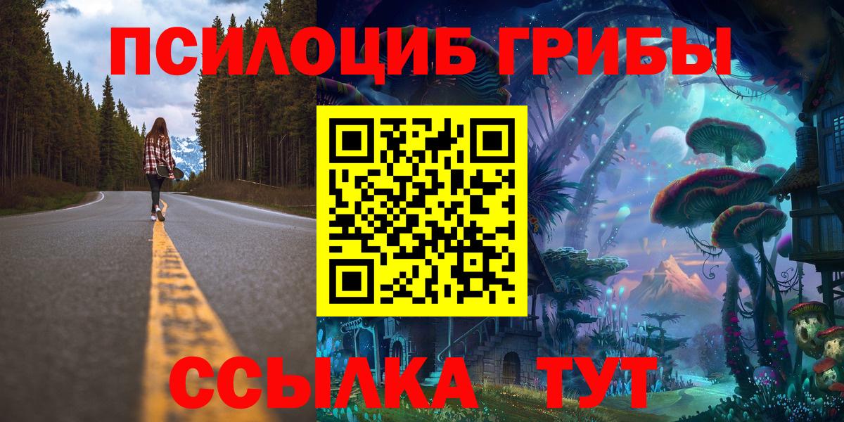 Гусиноозёрск  Галлюциногенные грибы мухоморы  Вход с VPN 