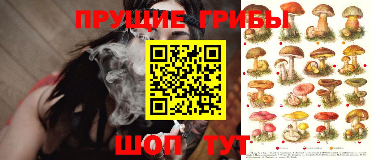 Псилоцибиновые грибы Magic Shrooms Гусиноозёрск